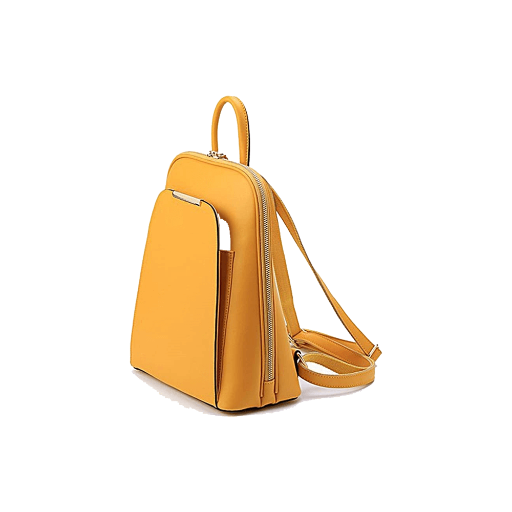 The Hand bag